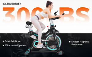 Pooboo Indoor Cycling Bike Reviews: Best Budget Pick Under $500