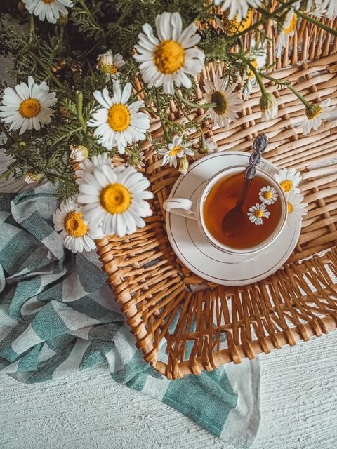 Cup of chamomile tea surrounded by fresh chamomile flowers