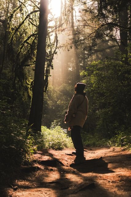 30-Day Gratitude Challenge: A Practical, Evidence-Based Plan to Build the Habit 6 Person walking along a sunlit forest path