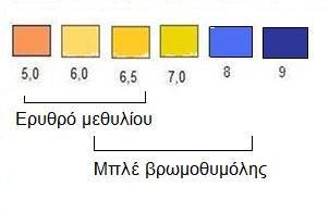 Urine pH color scale ranging from pH 5 to 9